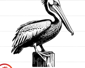 Pelican svg, Pelican Standing on Post, Pelican cut file, Pelican svg for cricut, pelican clipart, Pelican silhouette, vector, png, dxf, svg