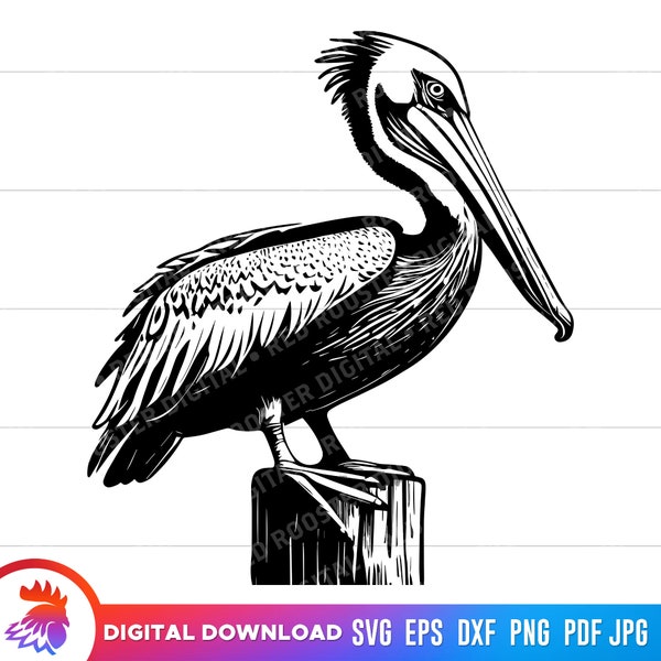 Pelican svg, Pelican Standing on Post, Pelican cut file, Pelican svg for cricut, pelican clipart, Pelican silhouette, vector, png, dxf, svg