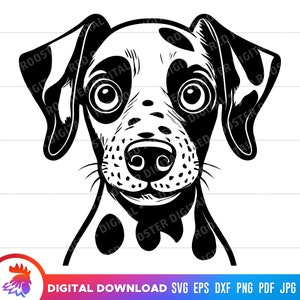 Dalmation svg, Cartoon Dalmation Dog, cute dalmation, Printable Dalmation, Cut file, svg for cricut, dxf, png, svg, Dalmation Puppy, clipart