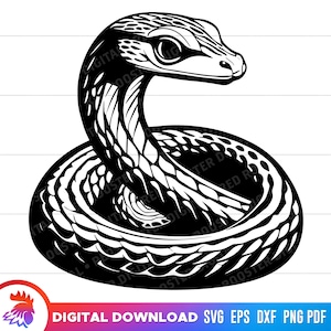 Opgerolde slang SVG, slang SVG, slang gesneden bestand, vriendelijke slang PNG, slang SVG voor Cricut, PNG, vector, slang clipart, DXF, PNG, vector