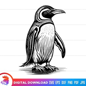 Penguin svg, Cute Penguin, Penguin Clipart, Printable Penguin, Penguin cut file, penguin svg for cricut, penguin vector, svg, dxf, png, jpg