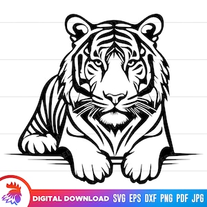 Tiger svg, Tiger clipart, Tiger cut file, svg file for cricut, tiger laying down, front facing tiger, vector, download, png, svg, dxf, pdf