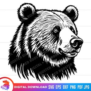 Svg grizzly, visage d'ours, ours brun, ours noir, fichier coupe ours, tête d'ours, fichier svg ours pour cricut, clipart ours, svg, vecteur, png