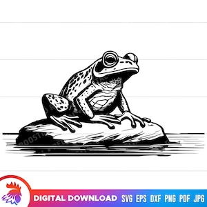Rana svg, Rana sentada en una roca, Rana toro, Archivo de corte de rana, rana svg para cricut, ilustración lineal de rana, rana png, sapo svg, imágenes prediseñadas de rana