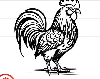 Rooster svg, Rooster cut file, vintage rooster illustration, rooster clipart, male rooster illustration, rooster cut file, png eps vector
