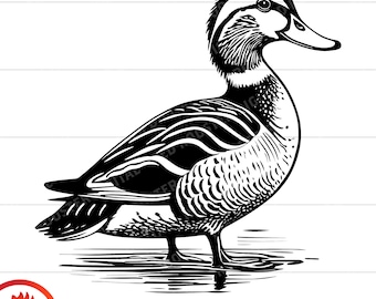 Mallard Duck SVG, Duck Clipart, Vector Cut File (Digital Download)