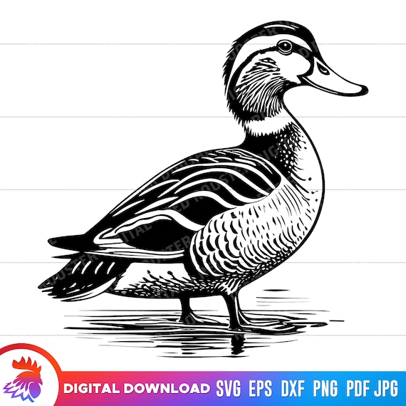 Mallard Duck Head Silhouette