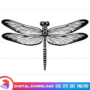 Dragonfly svg, Dragonfly png, Dragonfly cut file, Dragonfly clipart, Dragonfly svg for cricut, Decorative Dragonfly, vector, dxf, png, svg