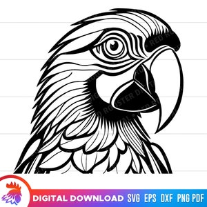 parrot svg, parrot head svg, parrot clipart, parrot art, parrot face, parrot Cut File, parrot line art, parrot svg for Cricut, png, vector