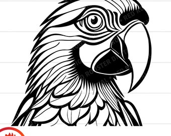 Parrot Head SVG, Line Art Clipart (Digital Download)