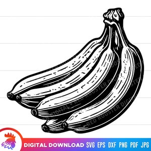 Bund von Bananen svg, Bananen Schnitt-Datei, Bund von Bananen Clipart, Bananen Ausmalbild, svg für cricut, Vektor Bananen, Bananen svg, png, dxf