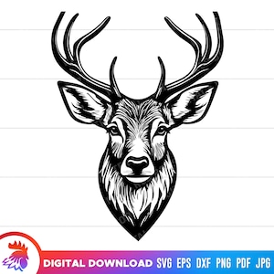 May include: Black and white illustration of a deer head with large antlers. The deer is looking directly at the viewer.