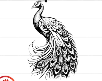 Peacock SVG, Bird Clipart, Feathers Vector (Digital Download)