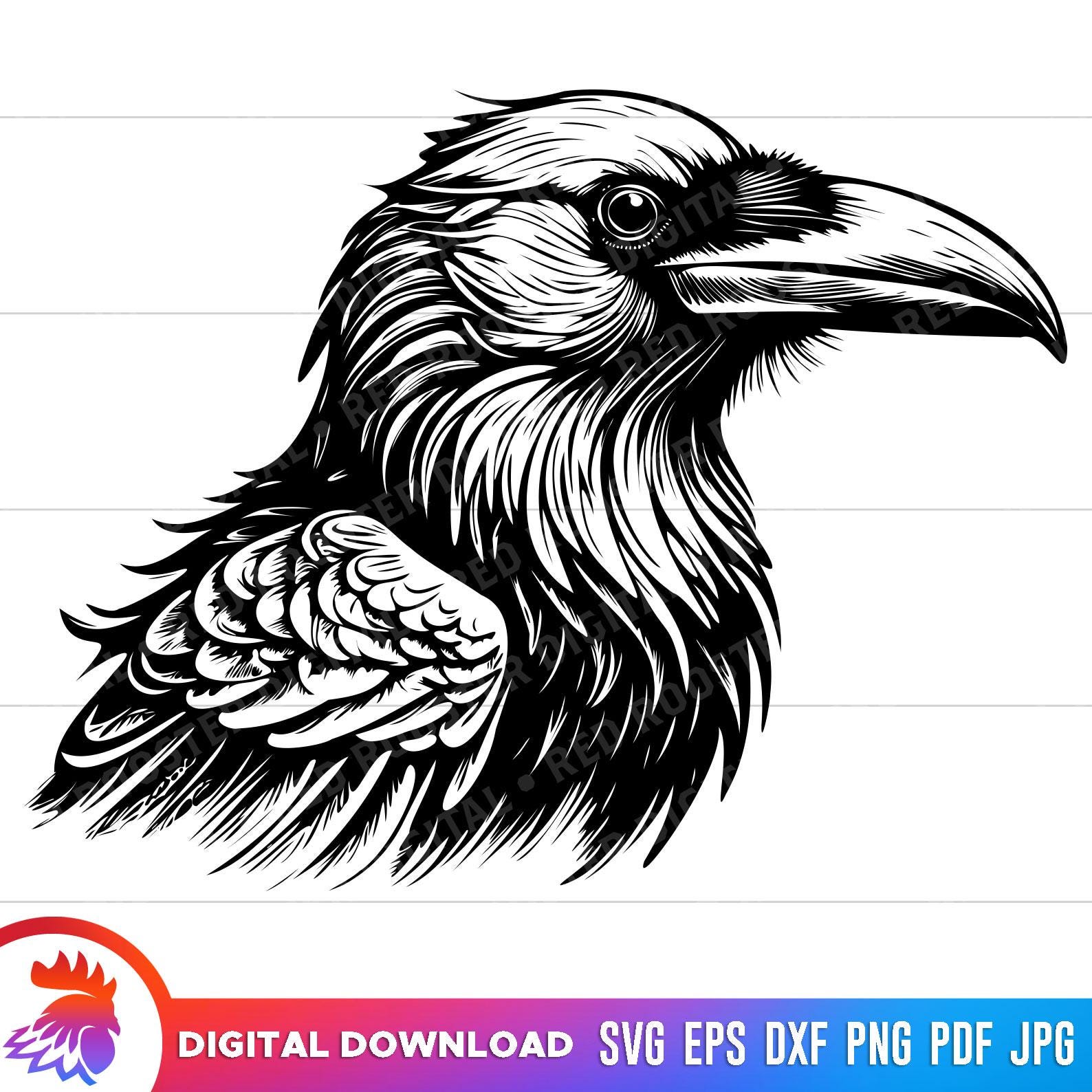 Raven svg, Raven cut file, Raven svg for cricut, Raven silhouette, Raven laser cut file, Raven Head, Raven png, Raven clipart, download