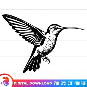 Hummingbird svg, Hummingbird clipart, Hummingbird svg for cricut, Hummingbird png, Flying Hummingbird, Hummingbird Cut File, vector, png dxf