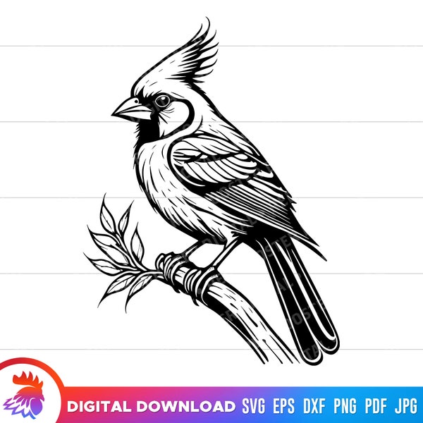 Cardinal svg, Cardinal Bird, Male Cardinal, Cardinal cut file, Cardinal clipart, Cardinal svg for cricut, vector, png, dxf, svg, pdf, jpg