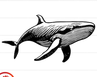 Humpback Whale SVG, Marine Animal Clipart (Digital Download)