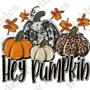 Hey Pumpkin Png, Hey Pumpkin Leopard Pumpkins Png, Hey Pumpkin Western Sublimation, Hey Pumpkin Cowhide Png, Doodle Pumpkins Png, Fall Png