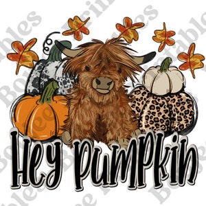 Hey Pumpkin Png, Hey Pumpkin Baby Cow Png, Hey Pumpkin Cute Cow Png, Fall Vibes Baby Cow Png, Fall Sublimation, Doodle Pumpkin Png, calf png
