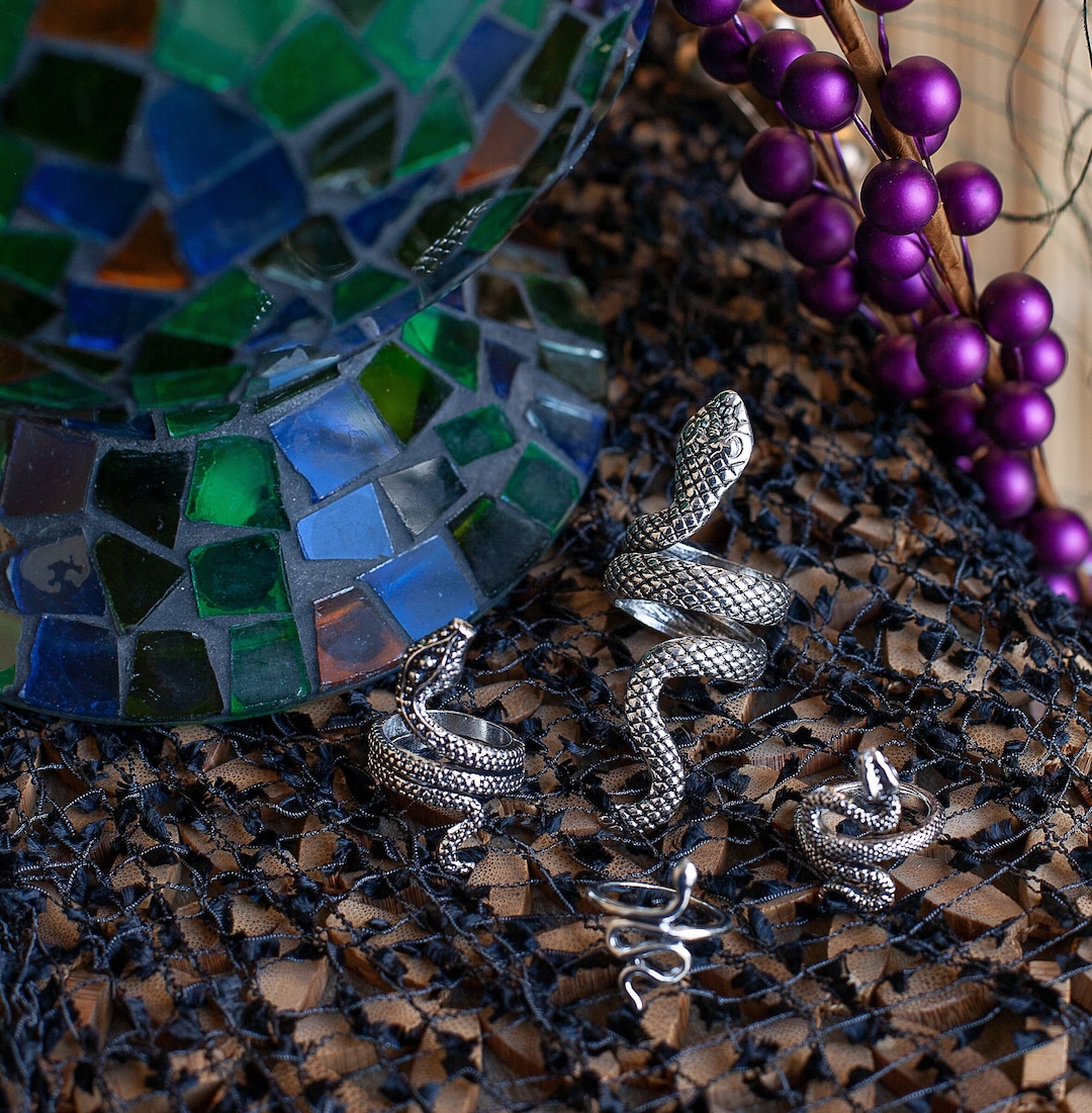 Stink Rings Snake Ring Set - Etsy