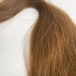 May include: A close-up shot of brown hair. The hair is a warm, medium brown with lighter highlights. The strands are straight and appear healthy. The lighting is good, highlighting the texture and colour variations of the hair sample.