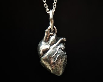 Anatomische hanger menselijk hart, 925 massief zilveren menselijk hart hanger ketting, arts en verpleegkundige sieraden, Valentijnsdagcadeau, jubileumcadeau