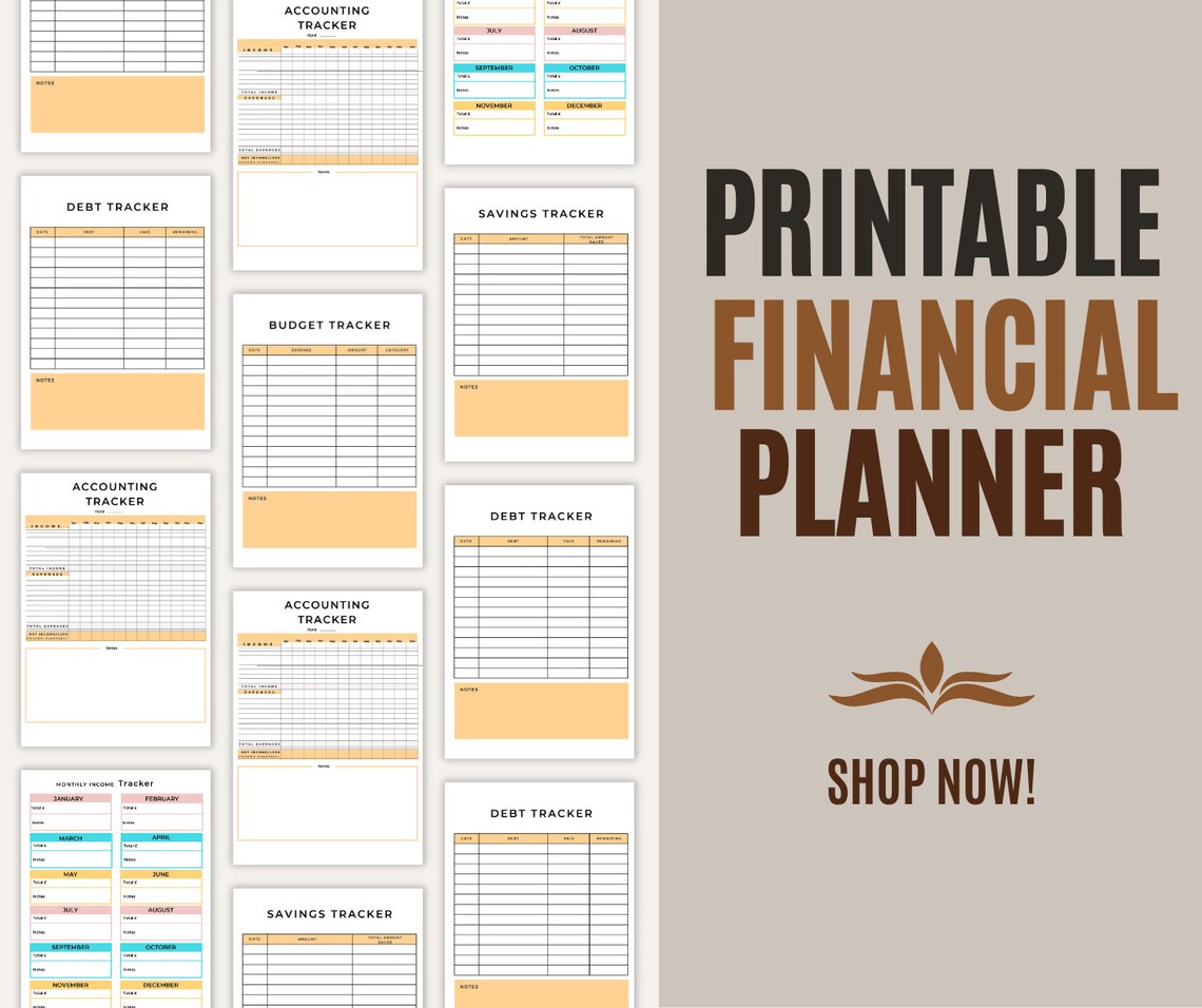 Paycheck Budget Overview Template Printable Budget Printable - Etsy
