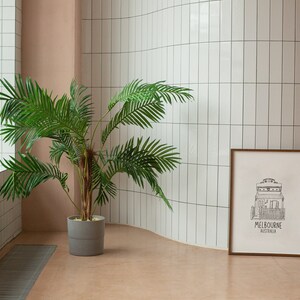 May include: A potted palm tree with green leaves stands in a white tiled room with a framed print of a house with the text "MELBOURNE AUSTRALIA".