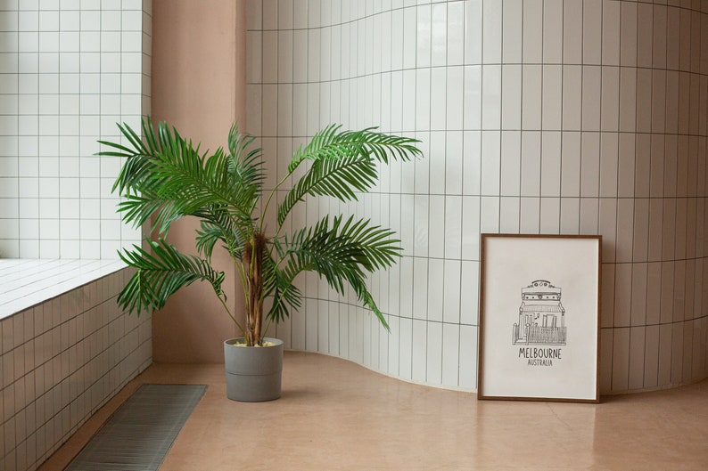 May include: A potted palm tree with green leaves stands in a white tiled room with a framed print of a house with the text "MELBOURNE AUSTRALIA".