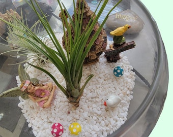 Enchanted Fairy Garden Terrarium Kit with air plants-gift-birthday-low maintenance