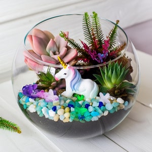 Kit de terrario de unicornio encantado: unicornio colorido con hermosos detalles naturales, perfecto para la decoración del hogar o como regalo