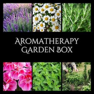 May include: Aromatic garden box with lavender, chamomile, rosemary, geranium, and mint plants. The box features the text "Aromatherapy Garden Box".