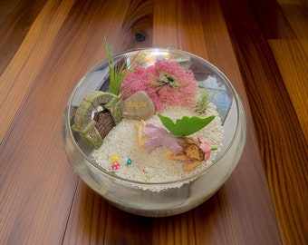 Personalize Air Plant fairy garden Terrarium kit-fairy garden kit-terrarium plants-perfect gift