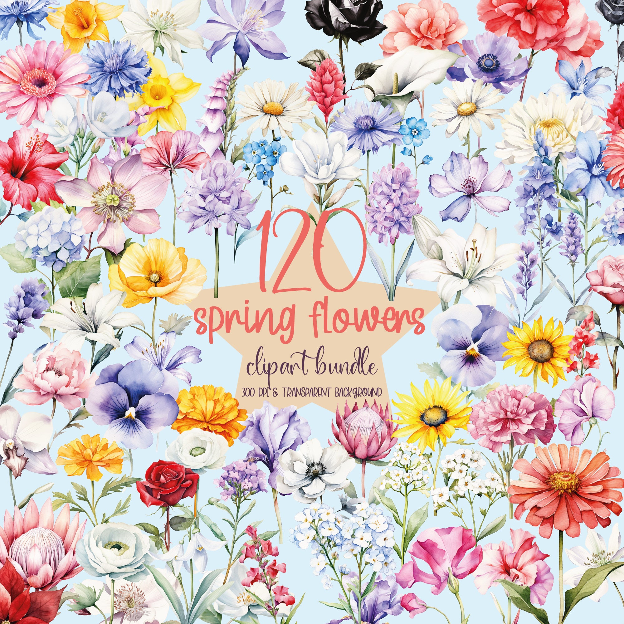 Watercolor Spring Flowers Clipart Bundle, Watercolor Floral Clipart ...