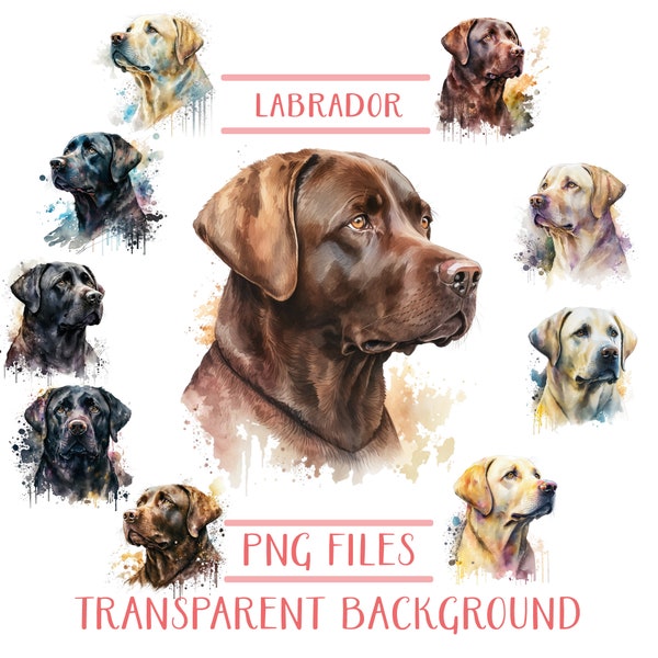 Labrador Clipart Png Bundle, Labrador Retriever Png Pack, Dog Png File, Dog Illustration Clipart ,Labrador Digital Print, Labrador Printable