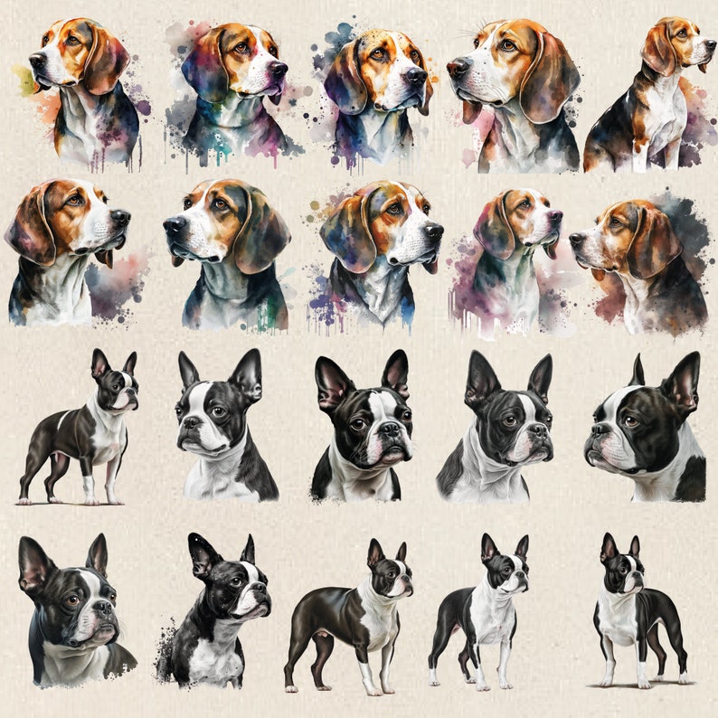 100 Dog Breeds Clipart Bundle, Dog Breed Png Bundle, Dog Clipart Bundle ...
