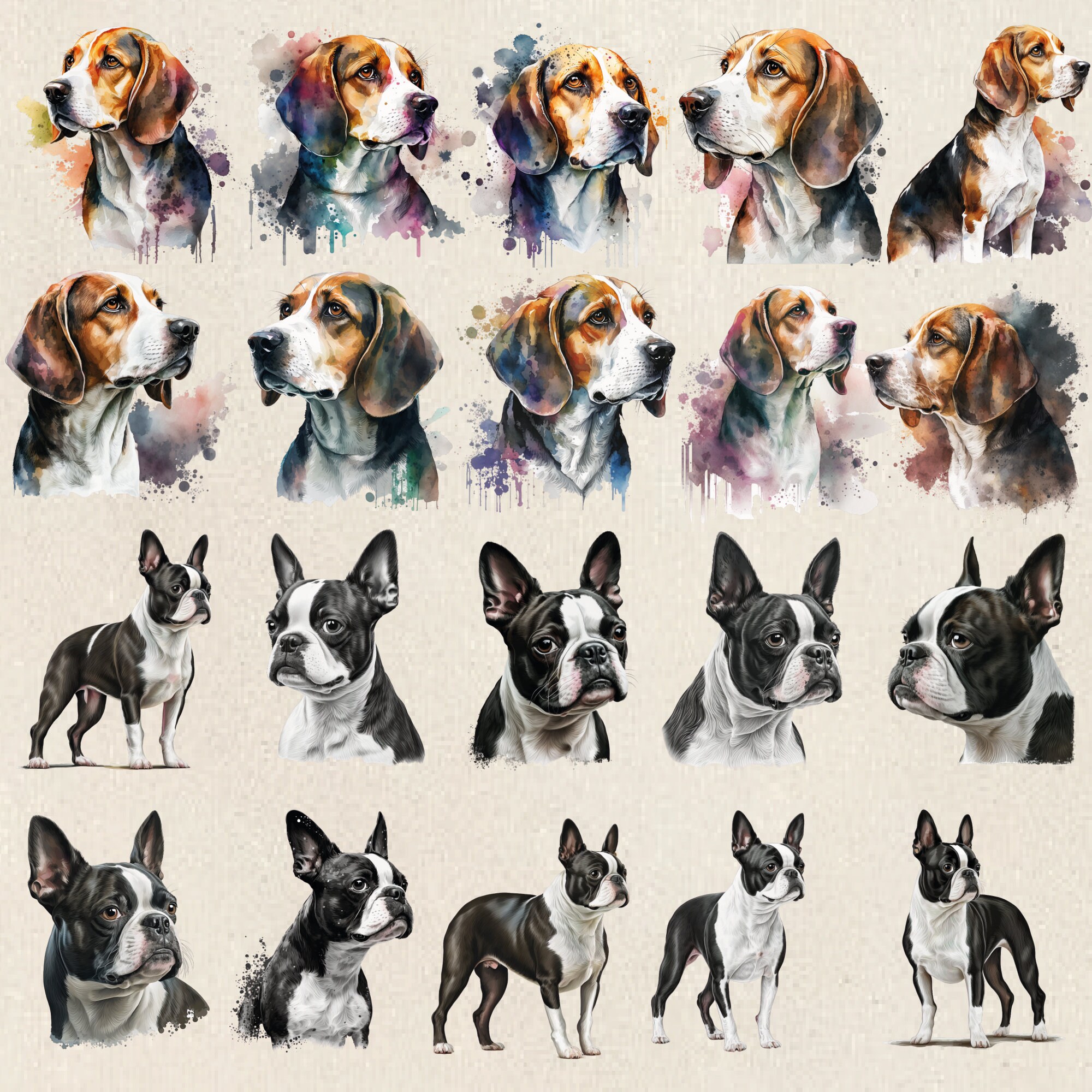 100 Dog Breeds Clipart Bundle, Dog Breed Png Bundle, Dog Clipart Bundle ...