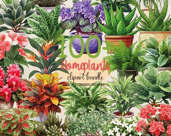 100+ Home Plants Clipart Bundle House Plants Png Set Indoor Plants Clipart Set House Plant Sticker Design Cute Plants Design Plant Clipart