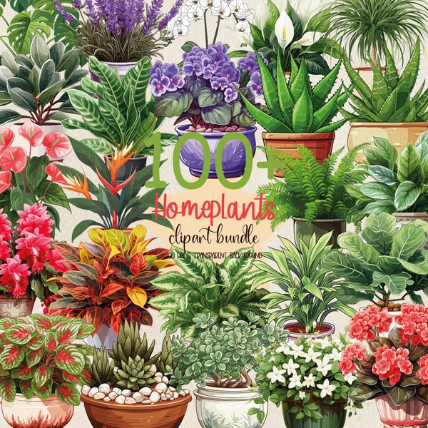 100+ Home Plants Clipart Bundle House Plants Png Set Indoor Plants Clipart Set House Plant Sticker Design Cute Plants Design Plant Clipart