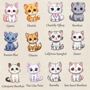 100 Cute Cats Clipart Bundle Kitten Png Bundle Kitten Clipart Bundle ...