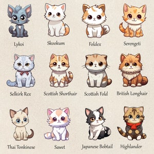 100 Cute Cats Clipart Bundle Kitten Png Bundle Kitten Clipart Bundle ...