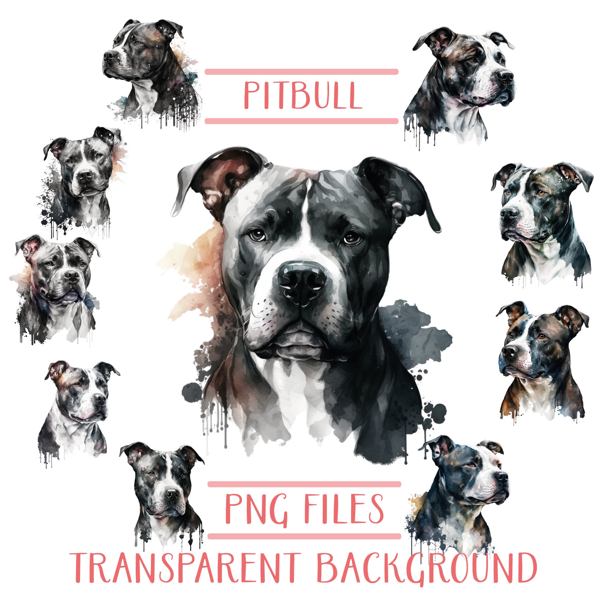 Purebred Vs Mutt Meme