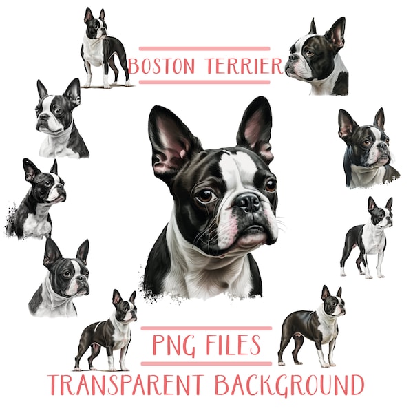 Boston Terrier Clipart Png Bundle, Boston Terrier Png Pack, Dog Png File, Boston Terrier Illustration Clipart, Boston Terrier Digital Print