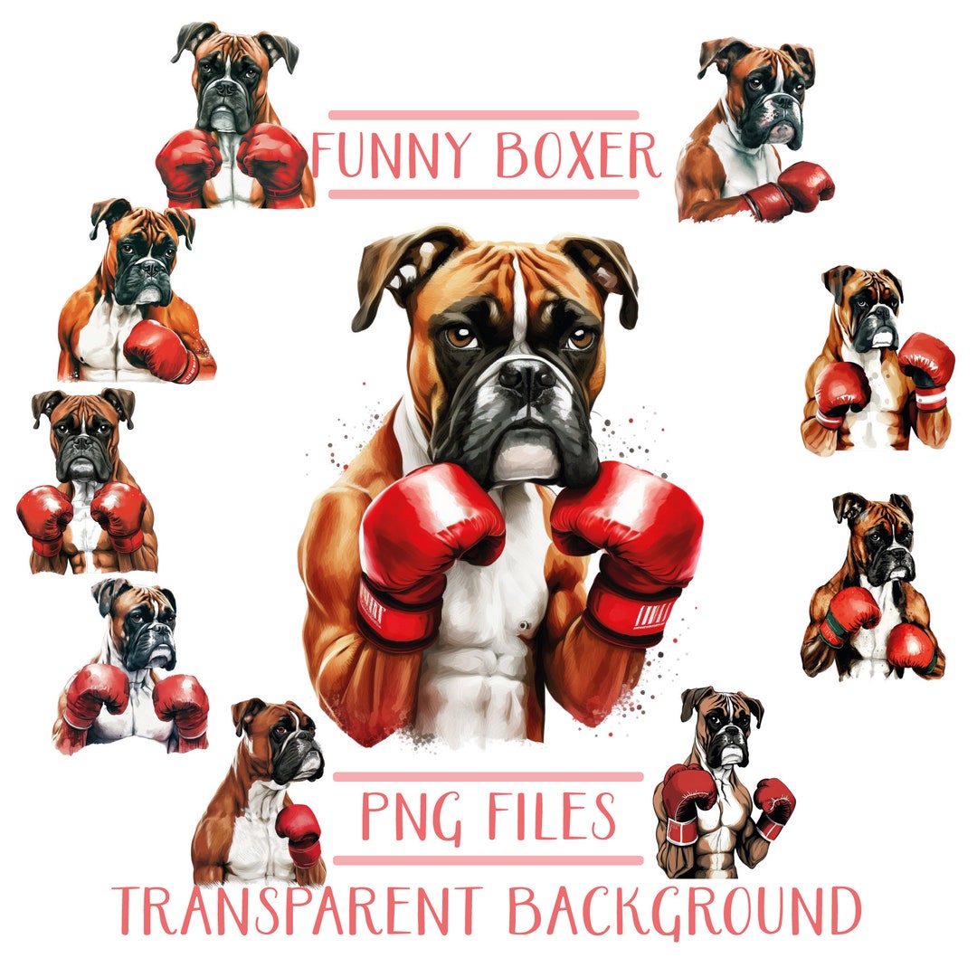 Boxer dog clip art png bundle funny boxer dog png bundle dog