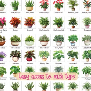 100+ Home Plants Clipart Bundle House Plants Png Set Indoor Plants ...