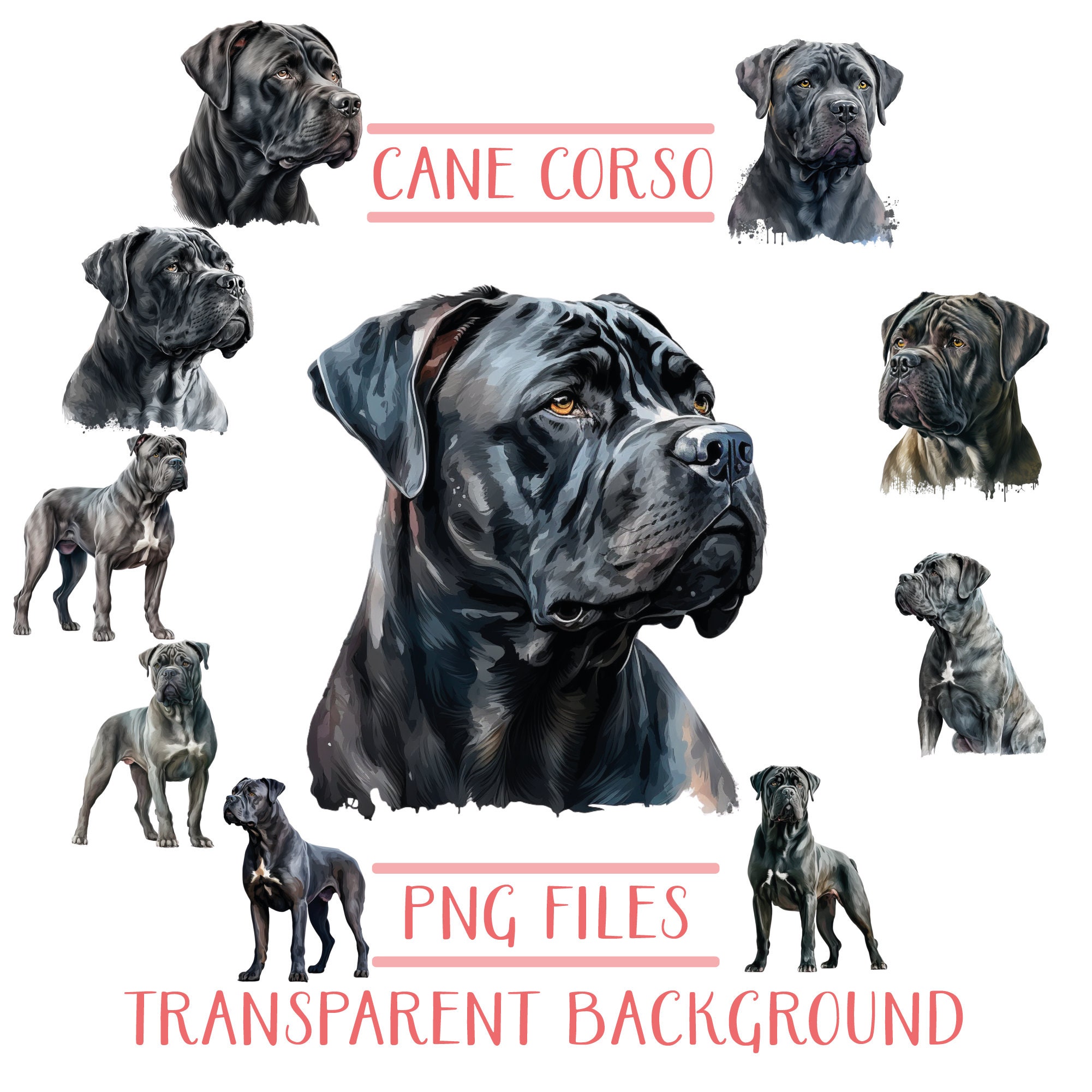 26 Best Black cane corso ideas  cane corso, dog breeds, beautiful