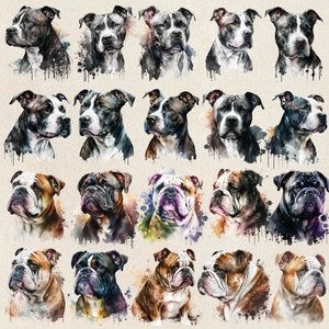 100 Dog Breeds Clipart Bundle, Dog Breed Png Bundle, Dog Clipart Bundle ...