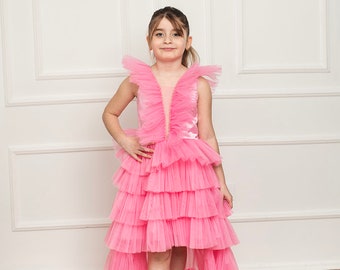 Pink Butterfly Collar Girl's Evening Dress, Birthday Dress, Special Design Evening Dress