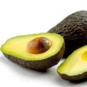 Hass Avocado tree
