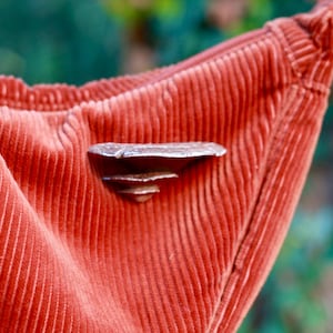 Peut inclure: Gros plan sur un tissu en velours côtelé rouge avec une épingle en métal en forme de feuille.